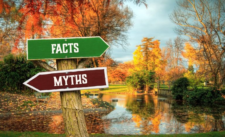 Golf Handicaps - The Myths - The Social Golfer