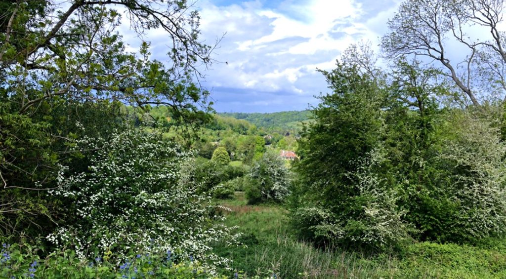 North Downs Golf Club Views