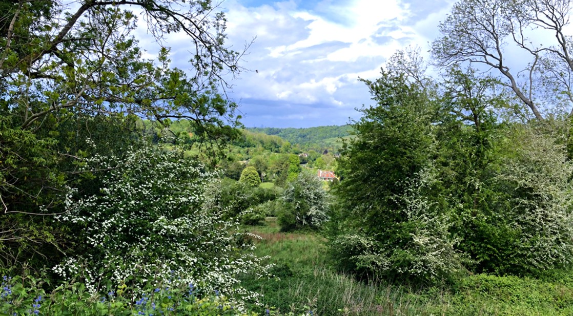 North Downs Golf Club Views